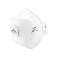 Paquet de 10 masques FFP3 EAGLE pliable Dolomite avec valve