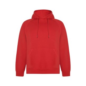 Sweat à Capuche Vinson