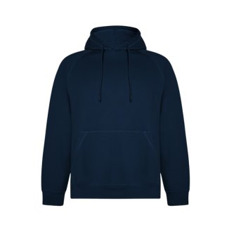 Sweat à Capuche Vinson