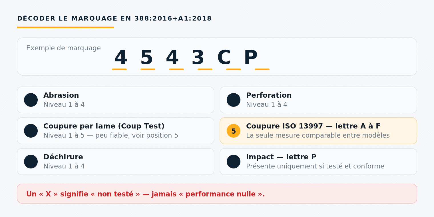 Normes EPI : comprendre les marquages et pictogrammes